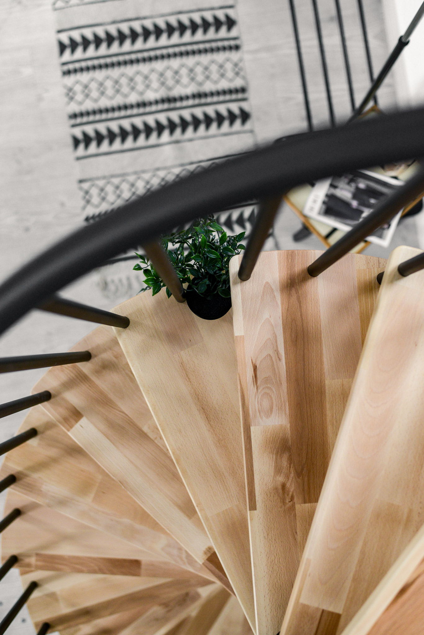 Top view of the Berlin spiral staircase with light wooden steps and black railing. A green plant sits in the center, with a patterned rug visible below.