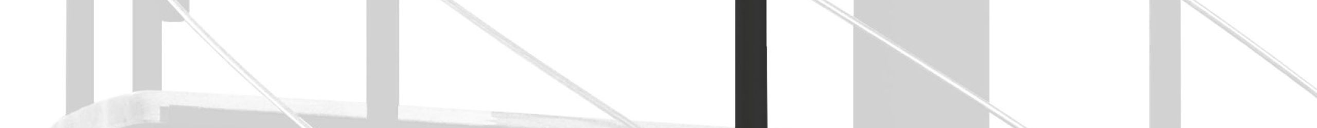 Höhenerweiterung für die Spindeltreppe Fusion mit Stufen in Buchenholz und schwarzem Metall. Gezeigt wird ein Detail der Zusatzstufe und des Geländerstabs.