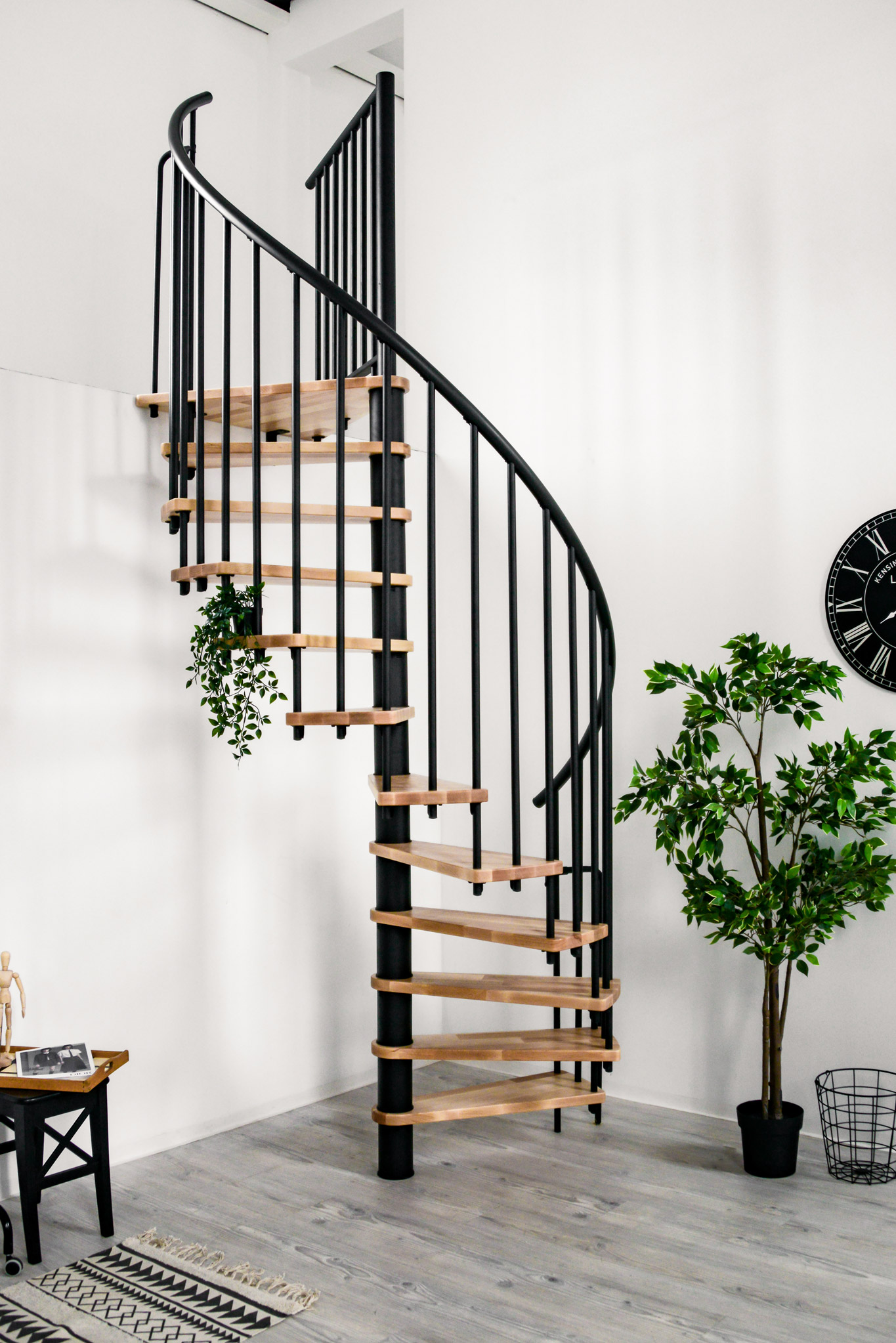 Die Spindeltreppe Berlin mit Buchenstufen und schwarzem Geländer ist an einer Galerie montiert. Der Raum ist mit Pflanzen, einer schwarzen Wanduhr, einem schwarzen Beistelltisch und einem gemusterten Teppich dekoriert.